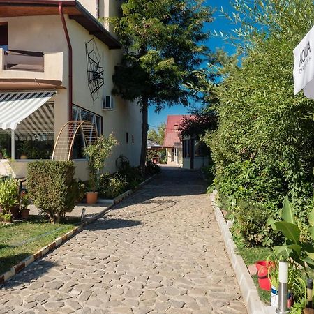 Pension Motanul Galanton Snagov Exterior foto