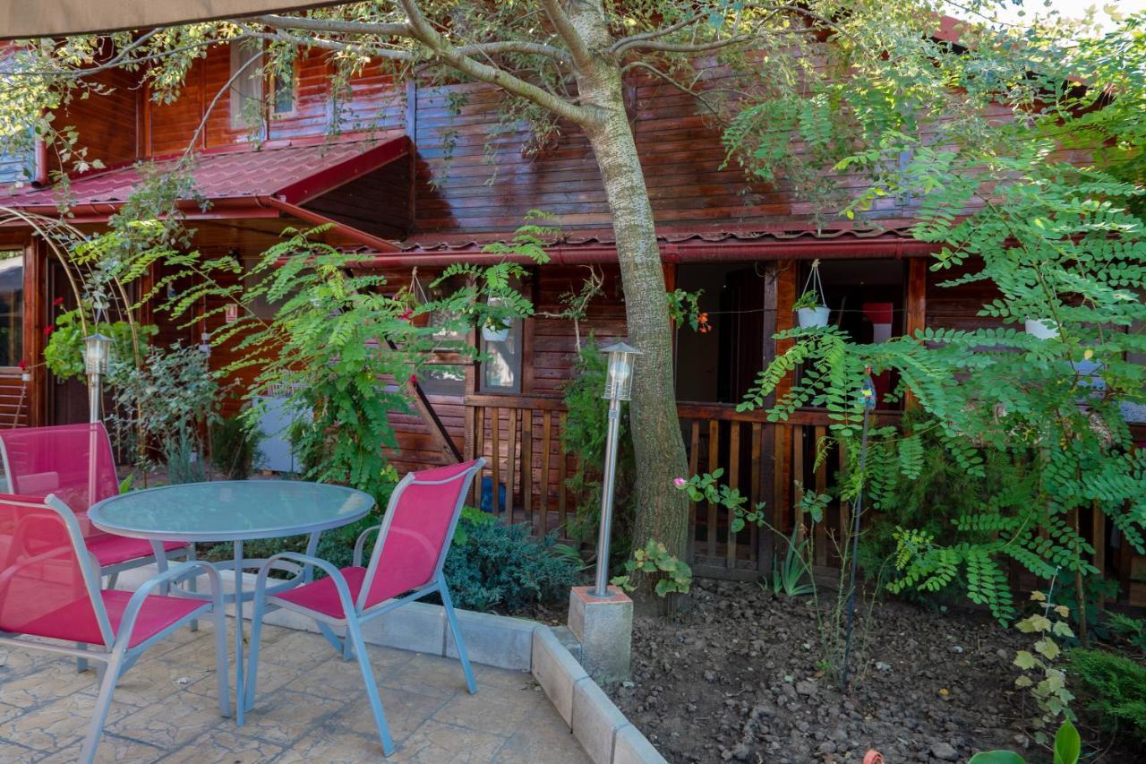 Pension Motanul Galanton Snagov Exterior foto