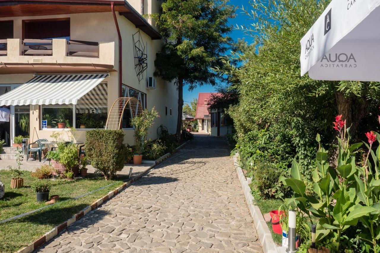 Pension Motanul Galanton Snagov Exterior foto