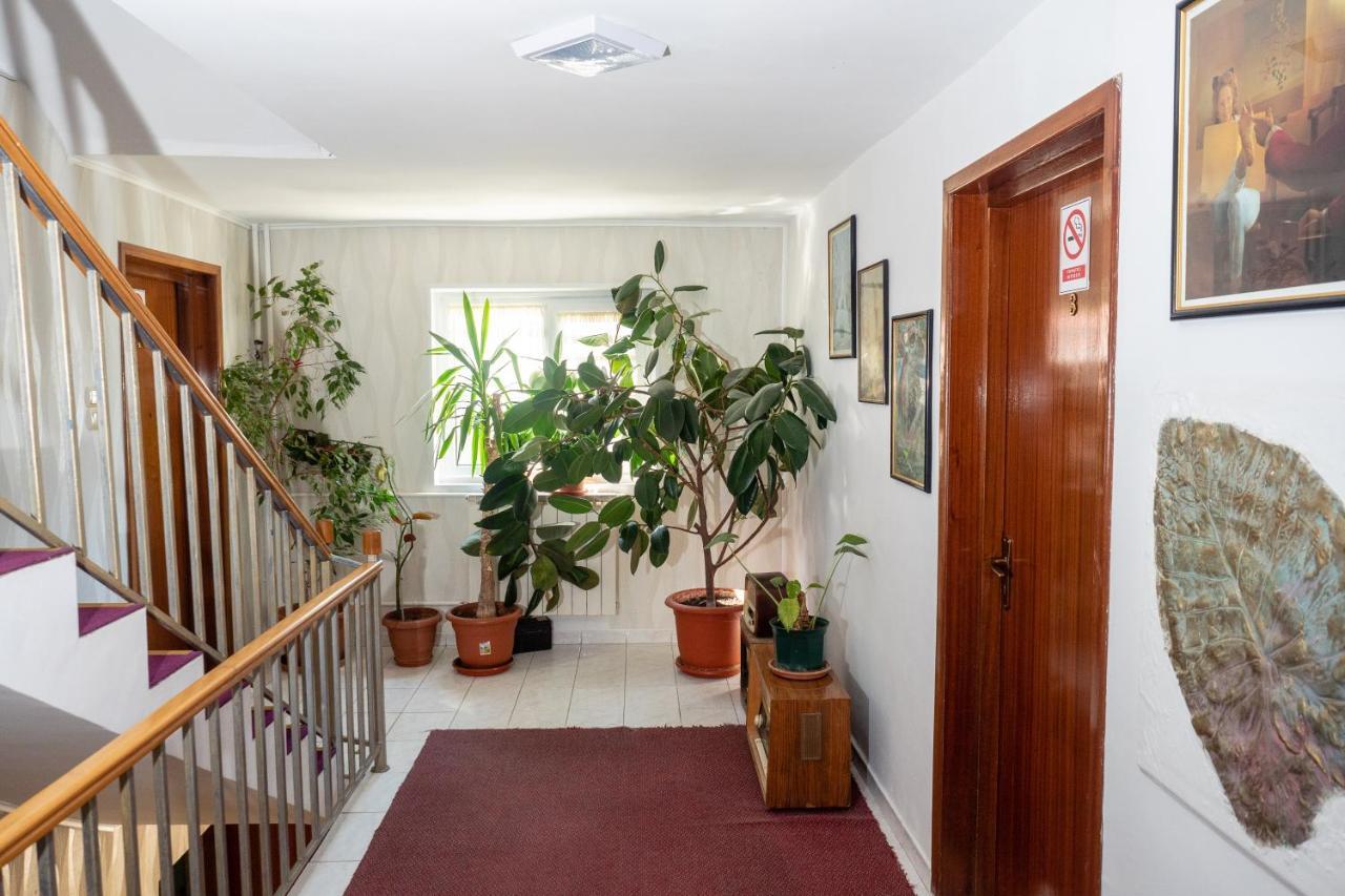 Pension Motanul Galanton Snagov Exterior foto