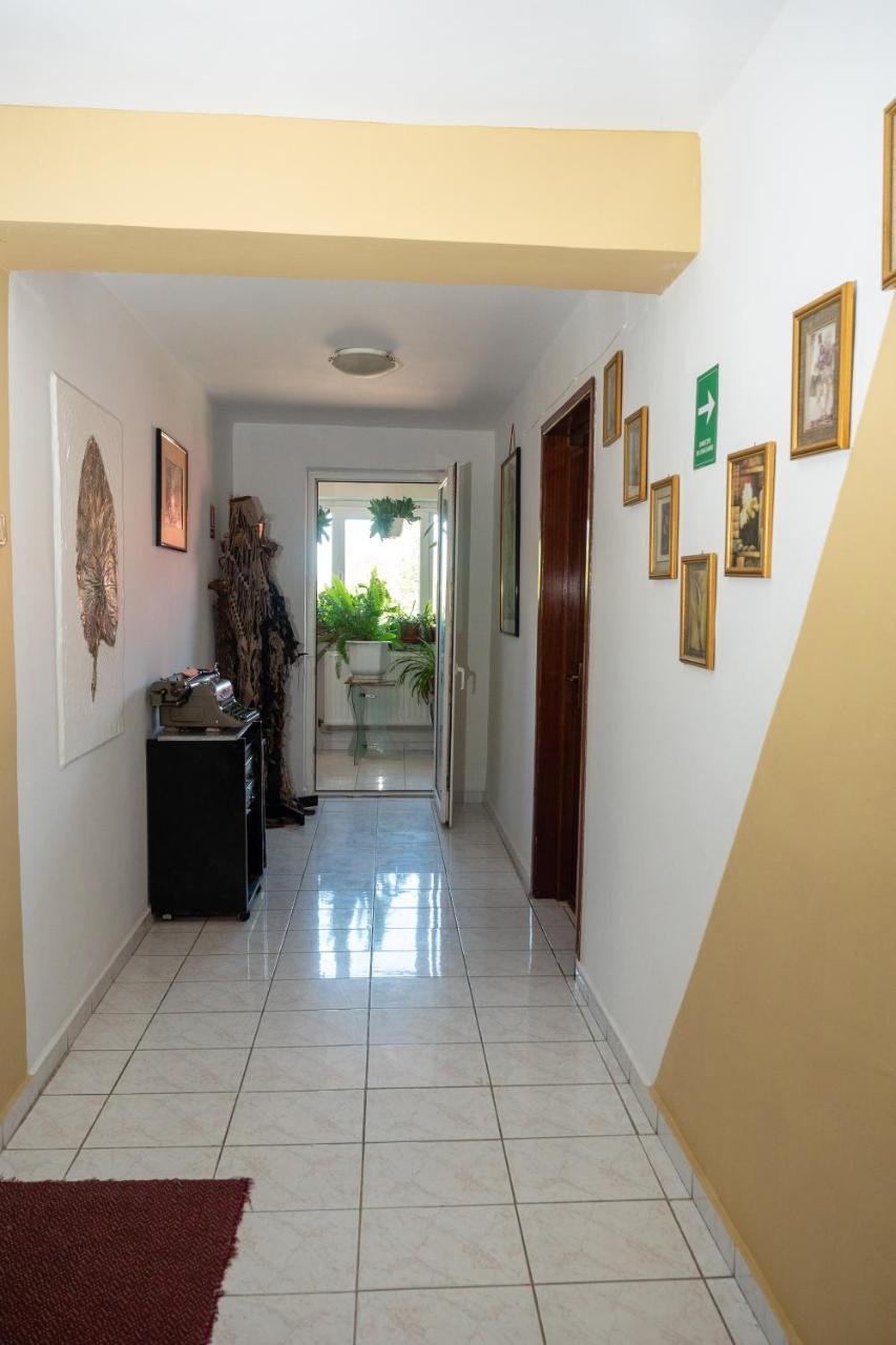 Pension Motanul Galanton Snagov Exterior foto